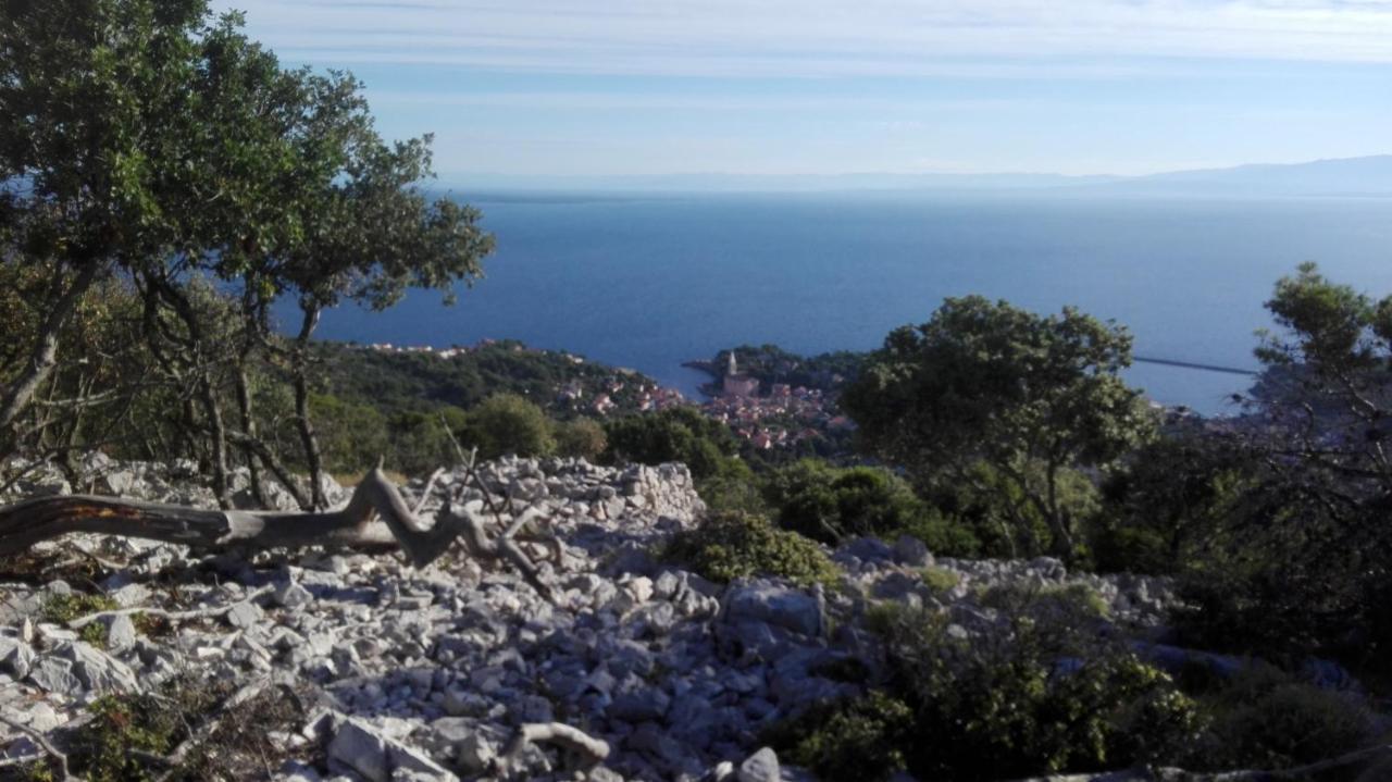 Apartments Veli Lošinj المظهر الخارجي الصورة