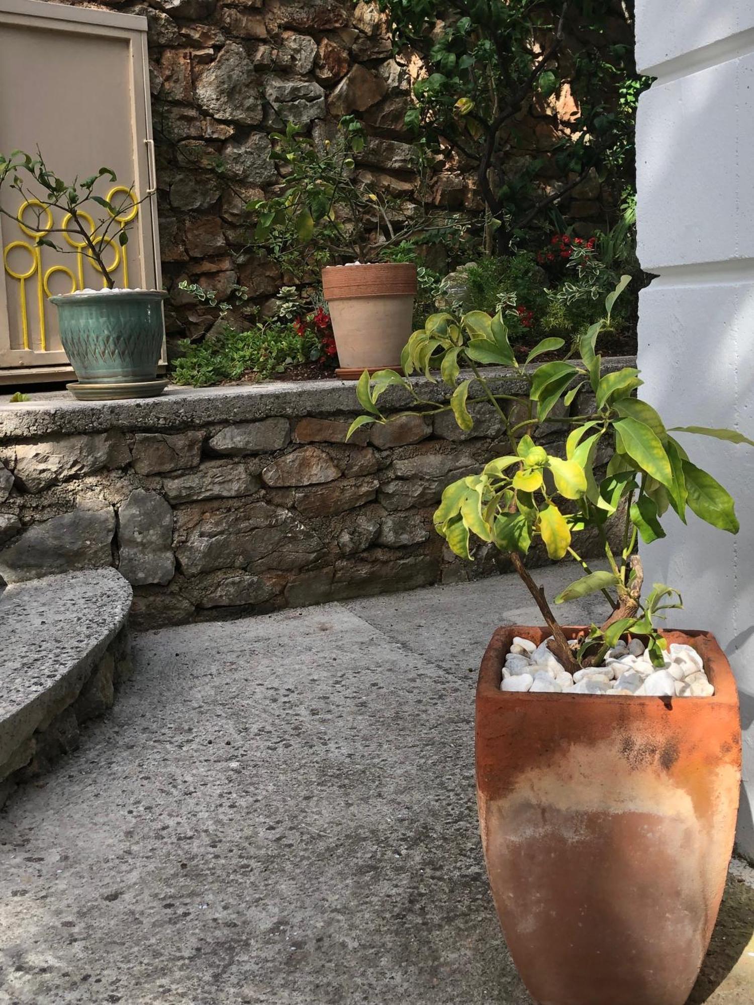 Apartments Veli Lošinj المظهر الخارجي الصورة