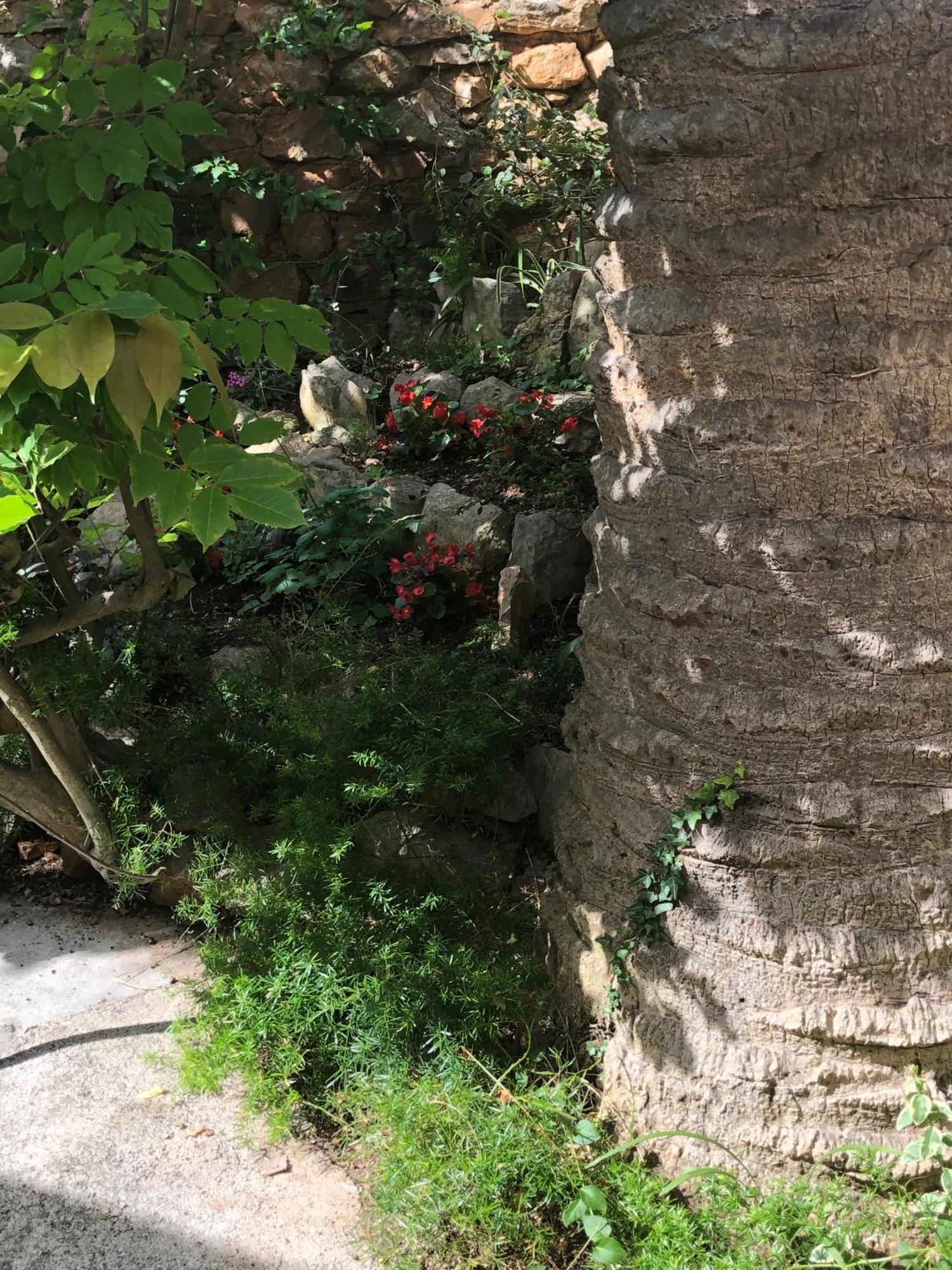 Apartments Veli Lošinj المظهر الخارجي الصورة