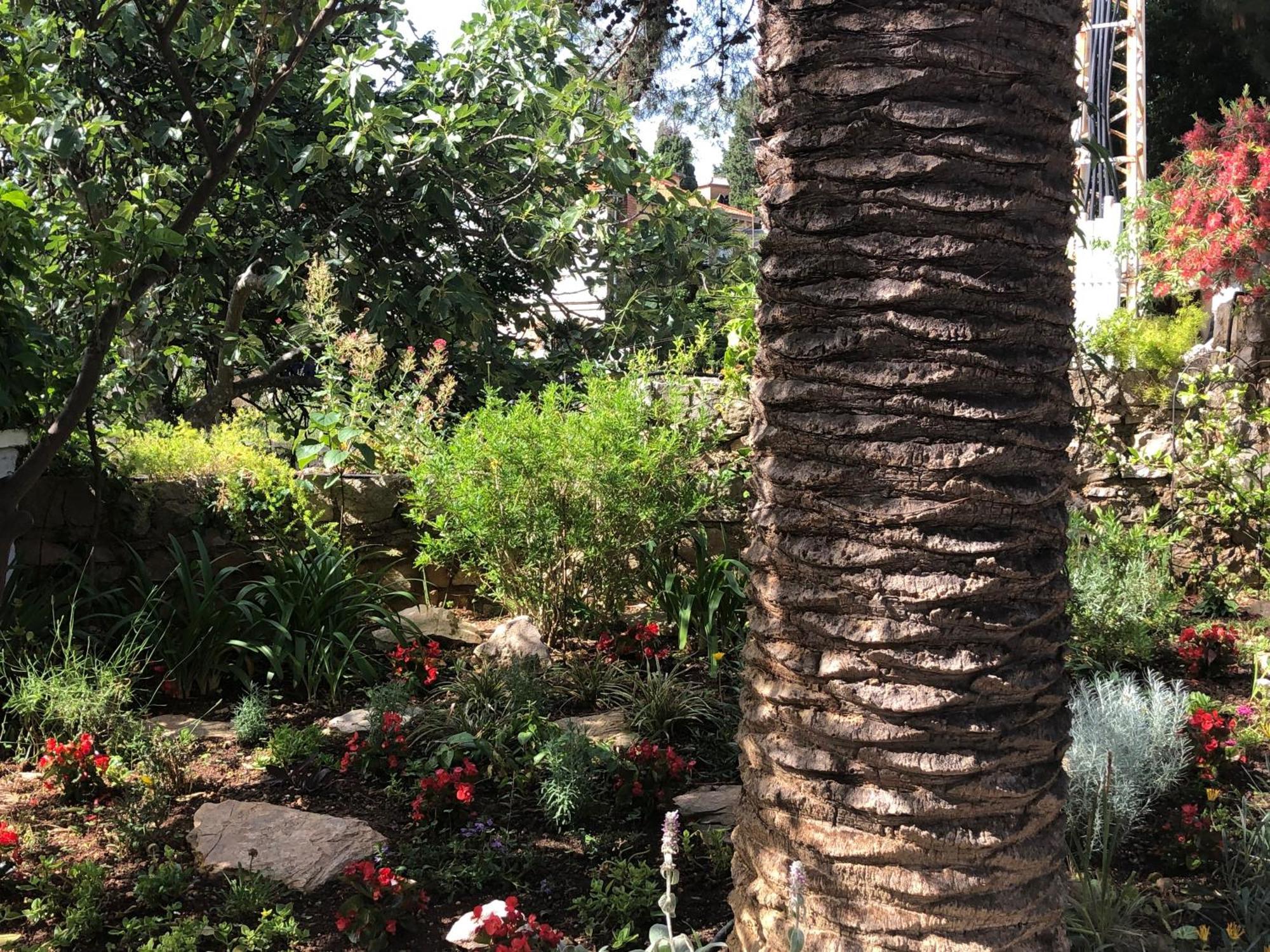 Apartments Veli Lošinj المظهر الخارجي الصورة