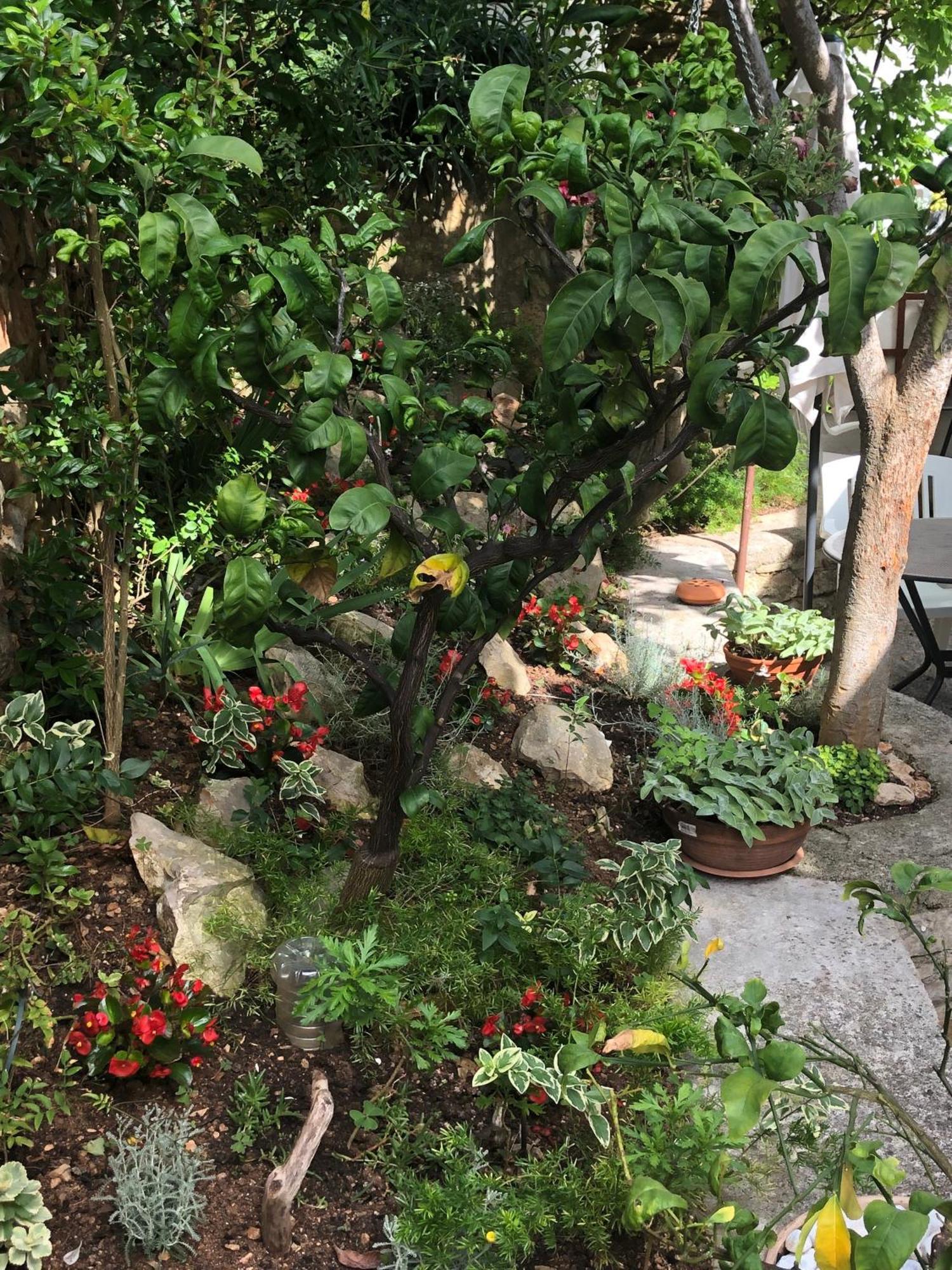 Apartments Veli Lošinj المظهر الخارجي الصورة