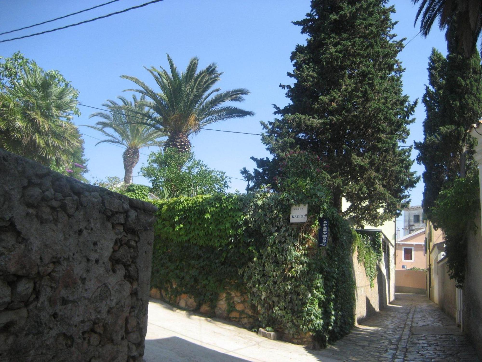 Apartments Veli Lošinj المظهر الخارجي الصورة