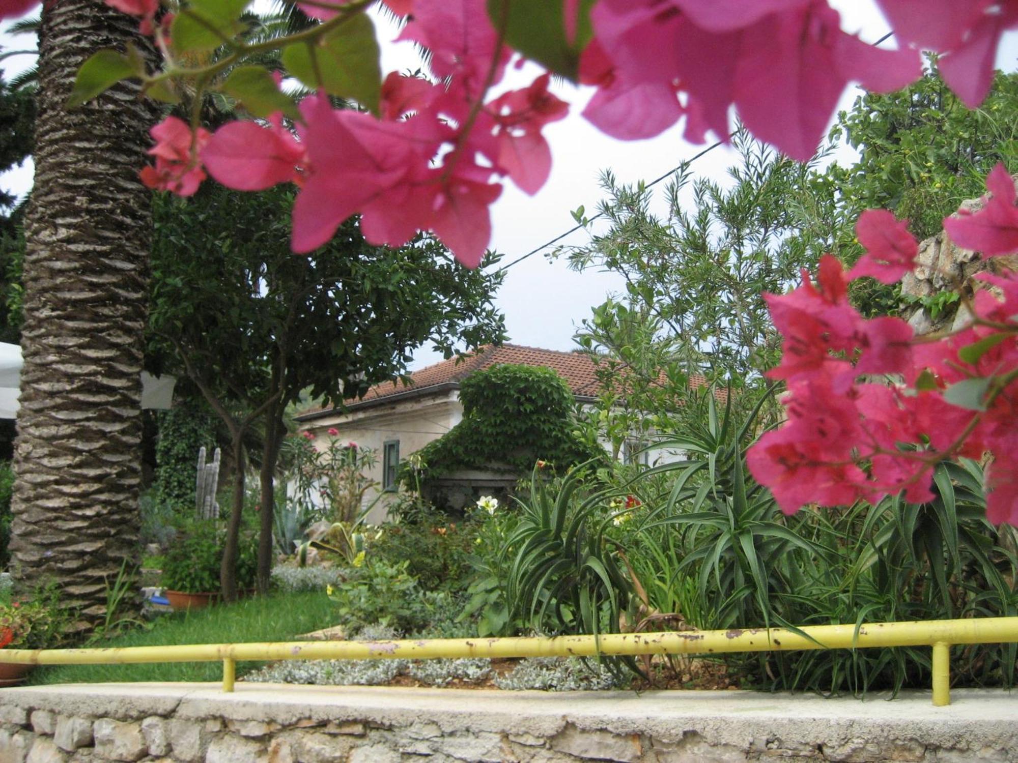 Apartments Veli Lošinj المظهر الخارجي الصورة