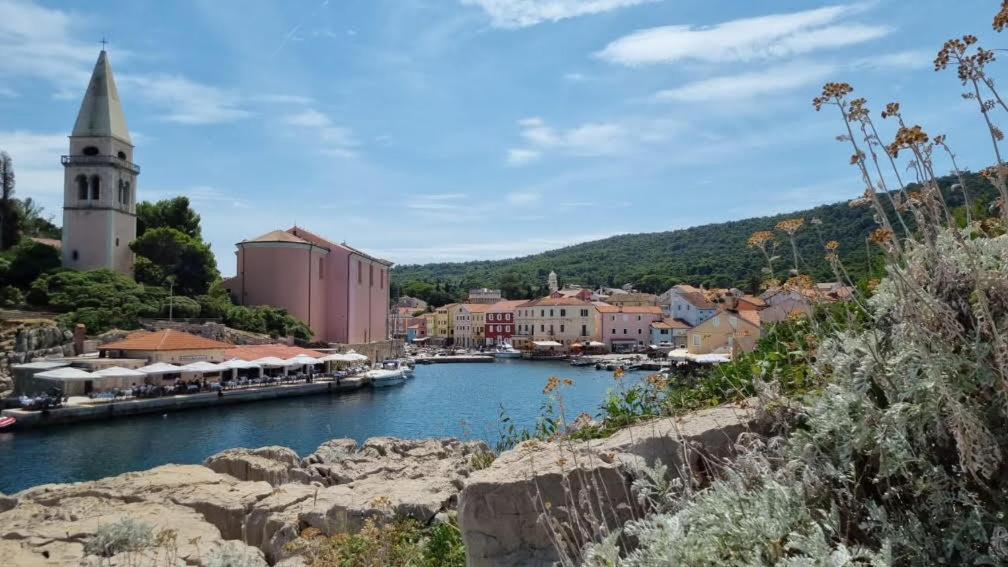 Apartments Veli Lošinj المظهر الخارجي الصورة